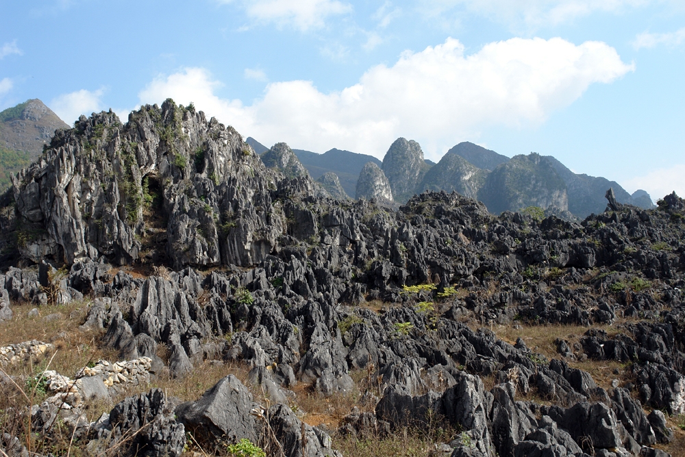 TOUR DU LỊCH HÀ NỘI – HÀ GIANG 3 NGÀY 2 ĐÊM - tour tết 2026 - easy go travel
