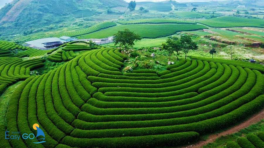 Tour du lịch Hà Nội – Mai Châu – Mộc Châu 3 ngày 2 đêm