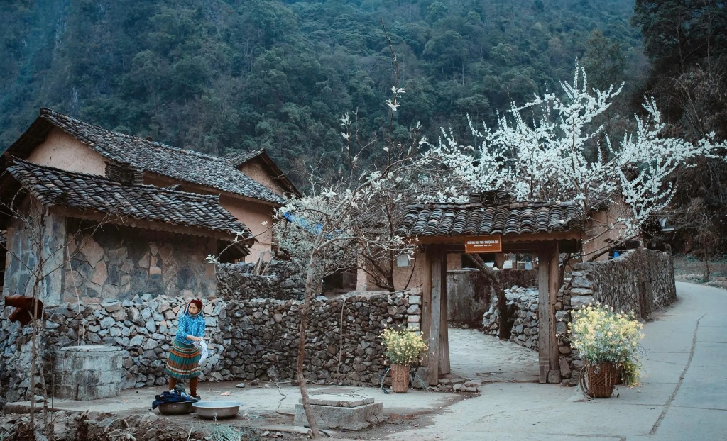 TOUR DU LỊCH HÀ NỘI – HÀ GIANG 3 NGÀY 2 ĐÊM - tour tết 2026 - easy go travel