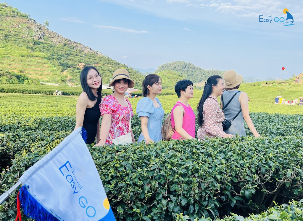 TOUR DU LỊCH HÀ NỘI – MỘC CHÂU 3 NGÀY 2 ĐÊM | TOUR TẾT 2026