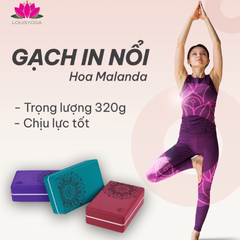 Gạch Tập Yoga - G320