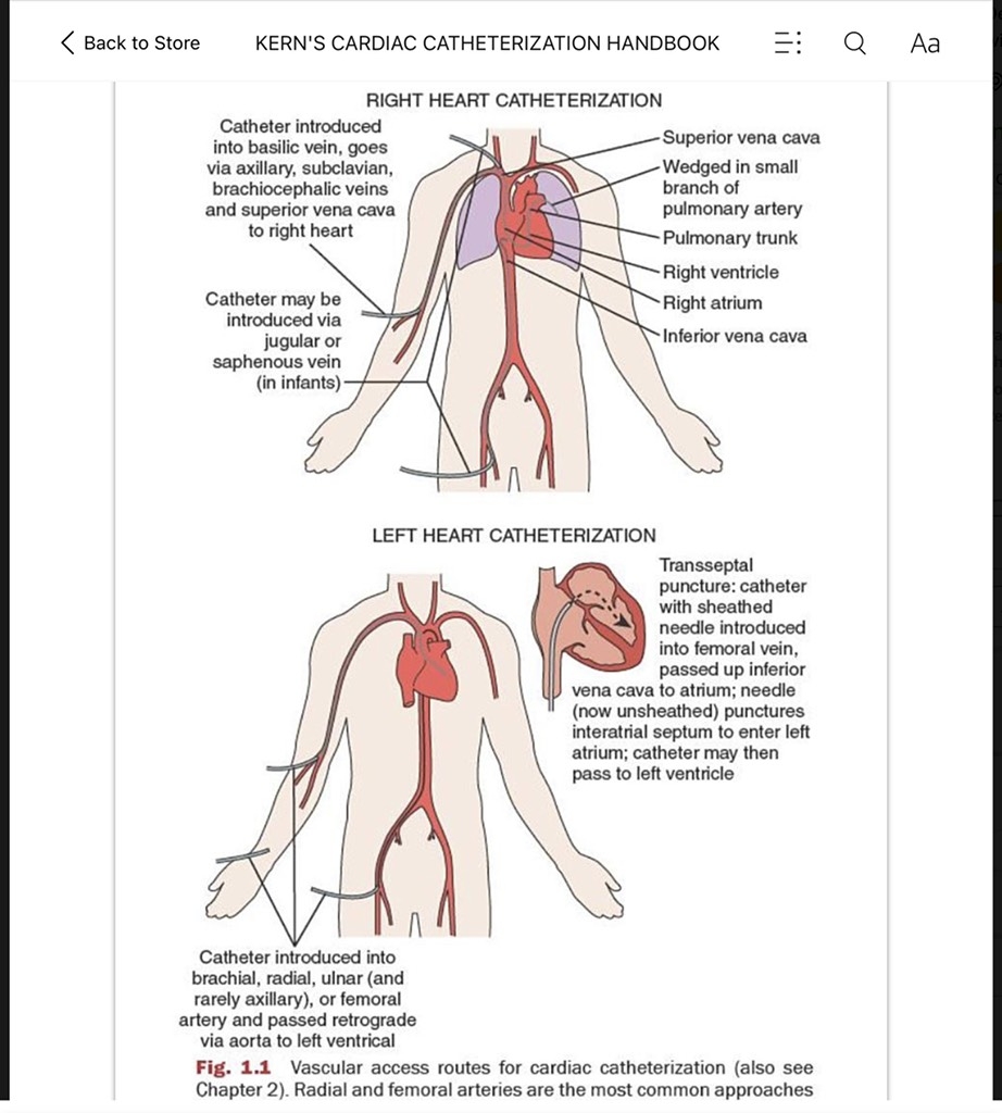 Sách ngoại văn Kern's Cardiac Catheterization Handbook7th Edition