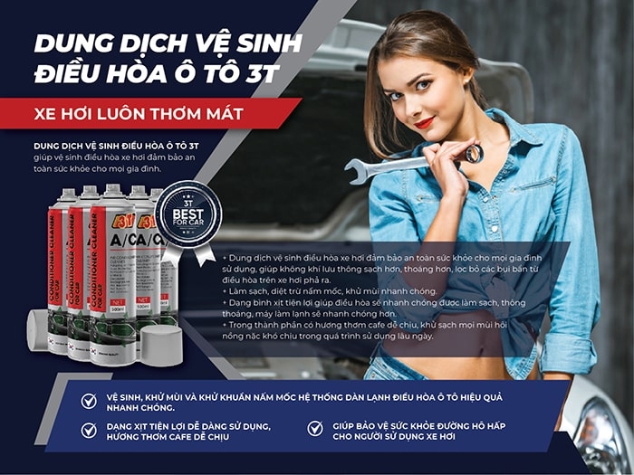Chai vệ sinh điều hòa (máy lạnh) ô tô 3T