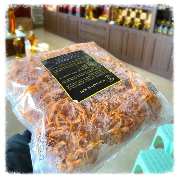 Đông Trùng Hạ Thảo Đế Tươi Túi 1Kg