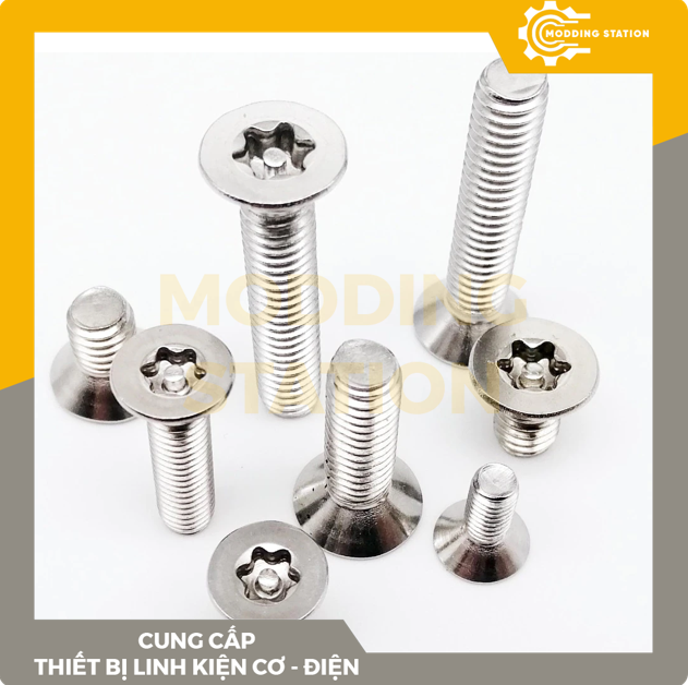 Ốc Lục giác đầu côn bông mai hoa thị inox 304 size M2x6