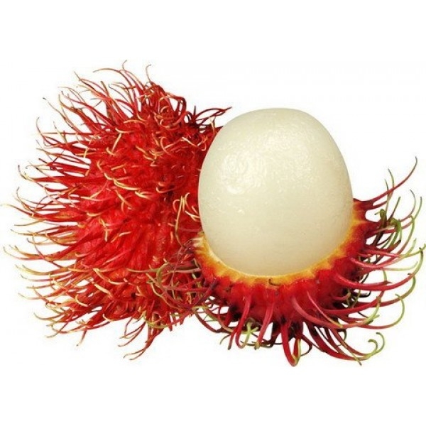 Chôm Chôm miền nam hoa quả xuất khẩu