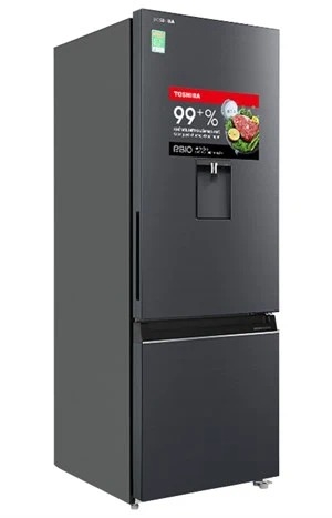 Tủ lạnh Toshiba Inverter 322 lít GR RB405WE PMV(06) MG