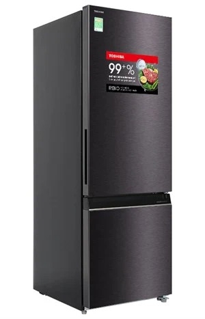 Tủ lạnh Toshiba Inverter 325 lít GR RB410WE PMV(37) SG