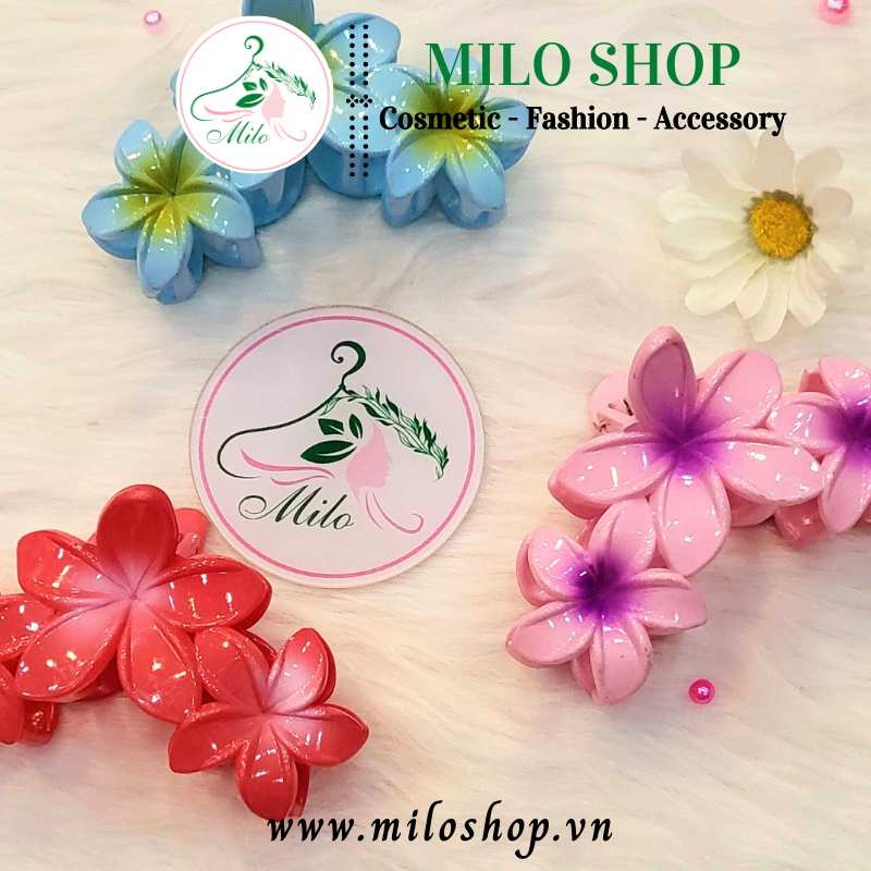 Kẹp tóc 3 bông hoa sứ nhiều màu