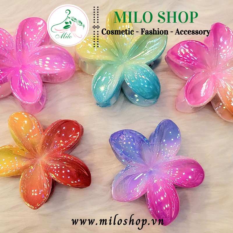 Kẹp tóc hoa sứ size to 8cm nhiều màu