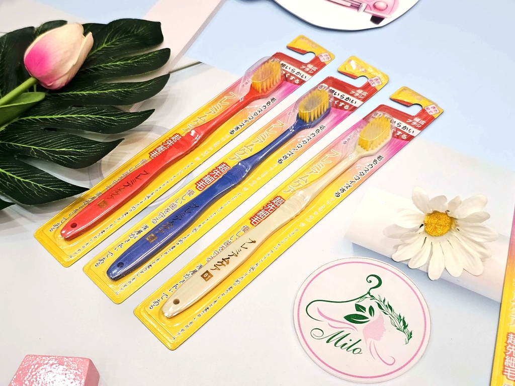 Bàn chải đánh răng cao cấp Nhật Bản