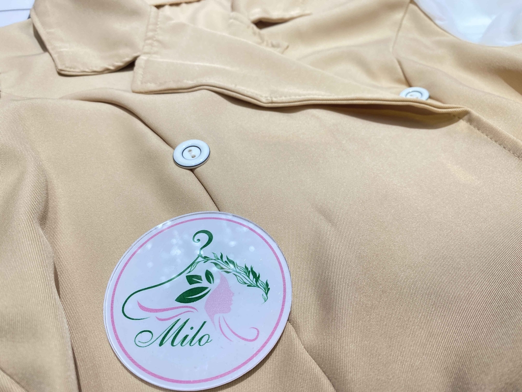 Đầm cổ vest cột eo tay dài phối voan