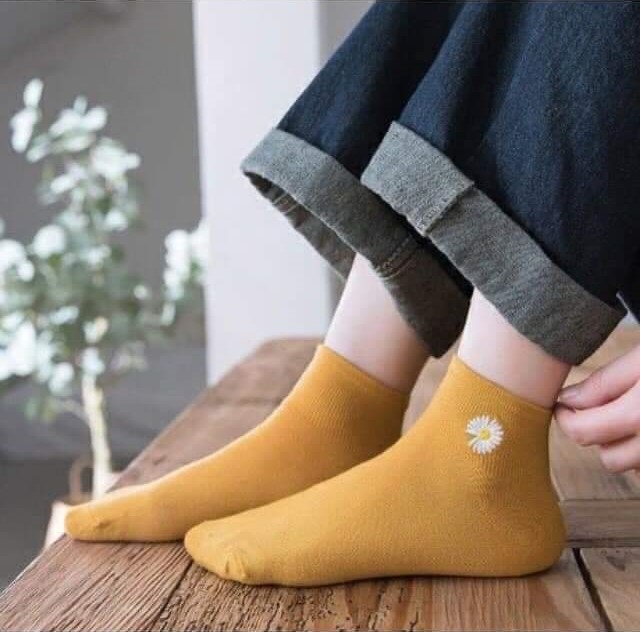 Vớ gấu + vớ hoa cúc