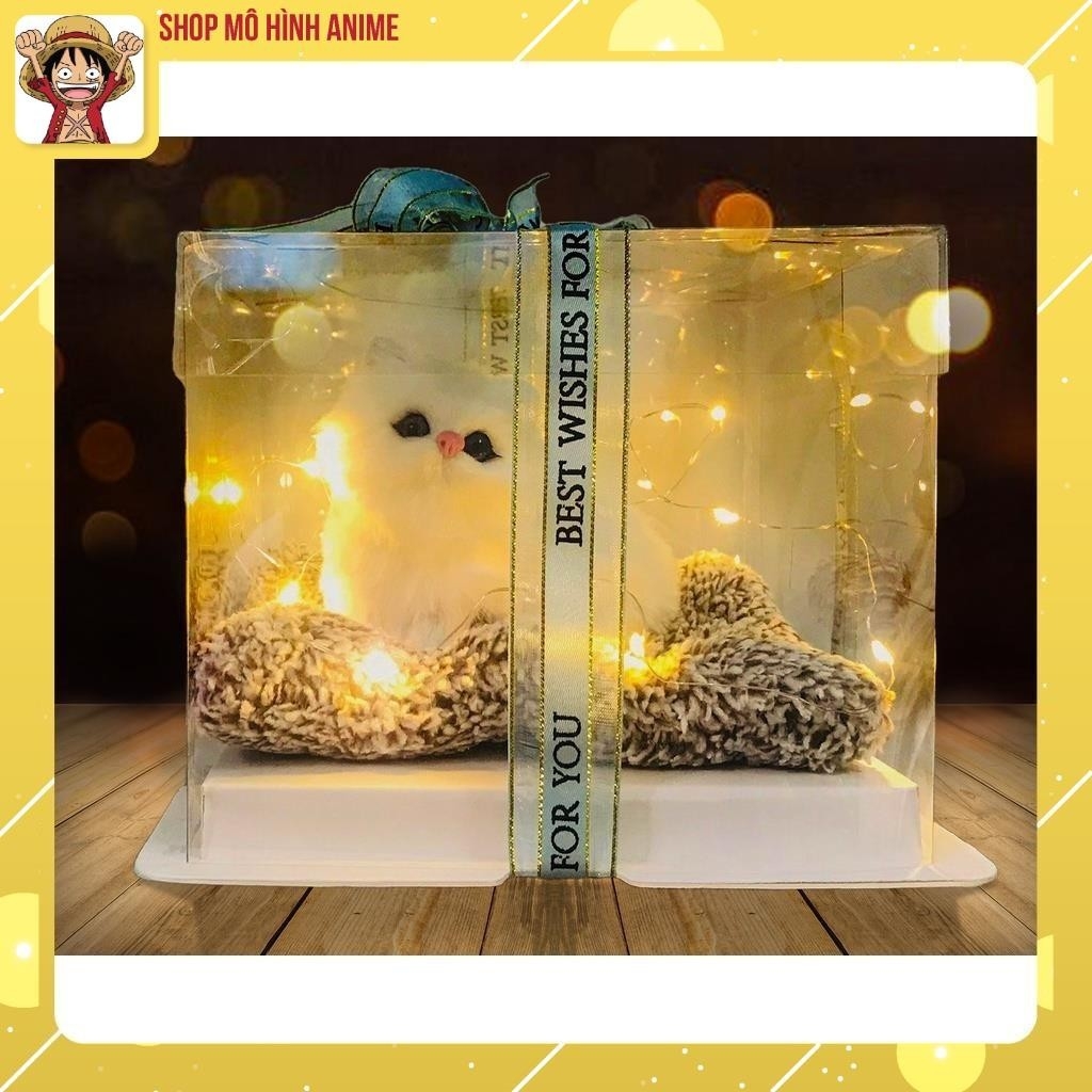 Quà Tặng Sinh Nhật, Lưu Niệm Hộp Trong Suốt Thú Cưng, Decor Trang Trí, Quà Tặng Các Dịp Lễ Đặc Biệt