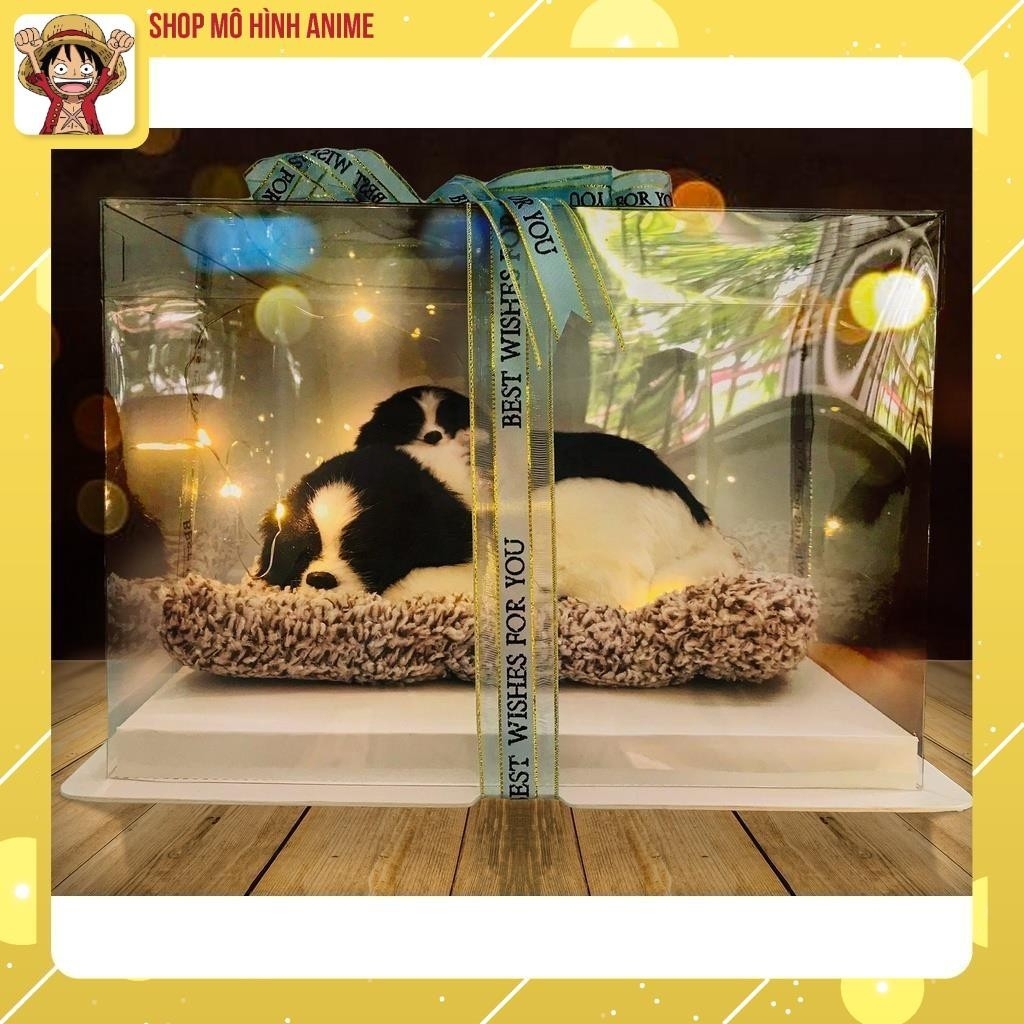 Quà Tặng Sinh Nhật, Lưu Niệm Hộp Trong Suốt Thú Cưng, Decor Trang Trí, Quà Tặng Các Dịp Lễ Đặc Biệt