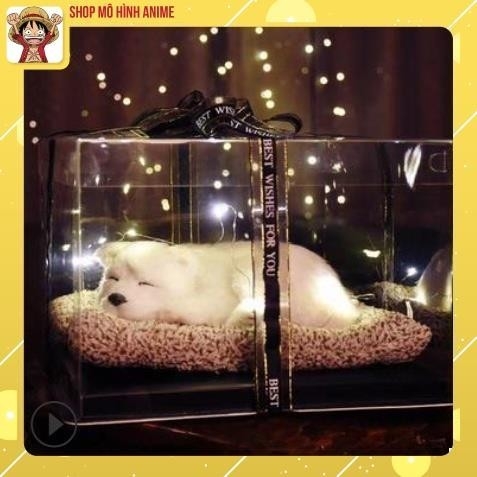 Quà Tặng, Quà Lưu Niệm Hộp Trong Suốt Thú Cưng Dễ Thương, Decor Phòng Ngủ, Quà Tặng Sinh Nhật, Lưu Niệm