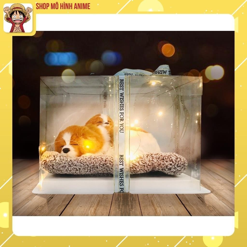 Quà Tặng, Quà Lưu Niệm Hộp Trong Suốt Thú Cưng Dễ Thương, Decor Phòng Ngủ, Quà Tặng Sinh Nhật, Lưu Niệm