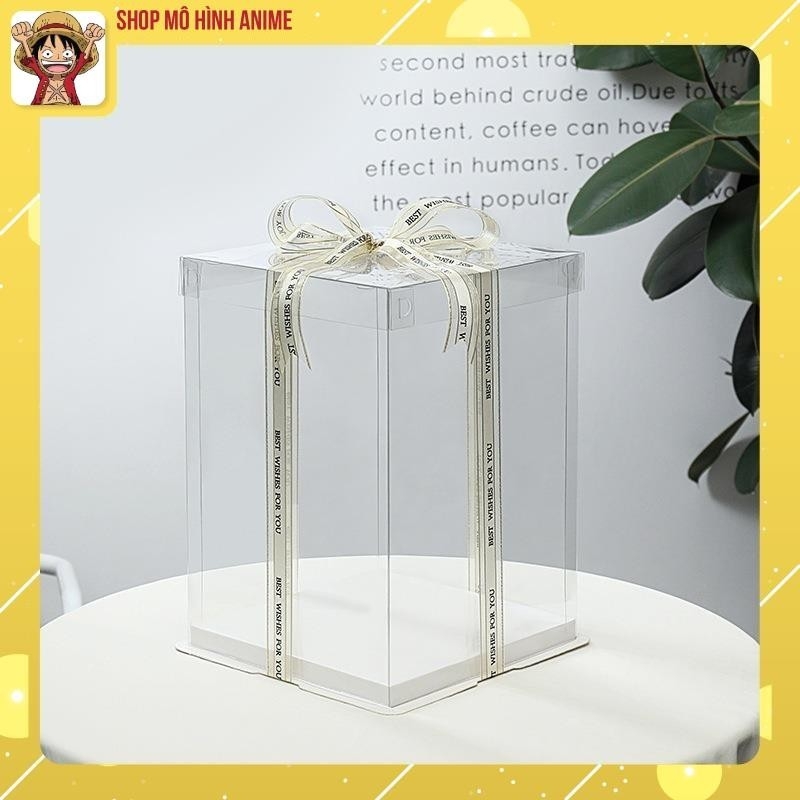 Hộp Trong Suốt Kèm Ruy Băng, Hộp Đựng Các Sản Phẩm Quà Tặng, Bánh Kem, Gấu Bông, Đồ Trang Trí