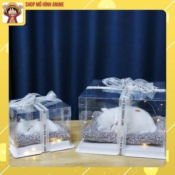 Hộp Quà Tặng Thú Cưng Mèo Trắng, Hộp Quà Sinh Nhật, Decor Trang Trí