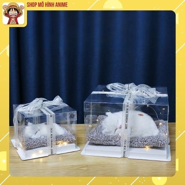 Hộp Quà Tặng Thú Cưng Mèo Trắng, Hộp Quà Sinh Nhật, Decor Trang Trí