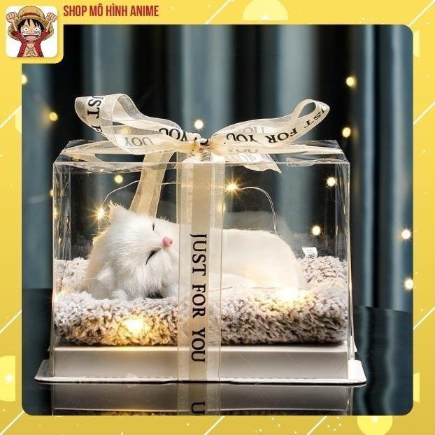 Hộp Quà Tặng Thú Cưng Mèo Trắng, Hộp Quà Sinh Nhật, Decor Trang Trí