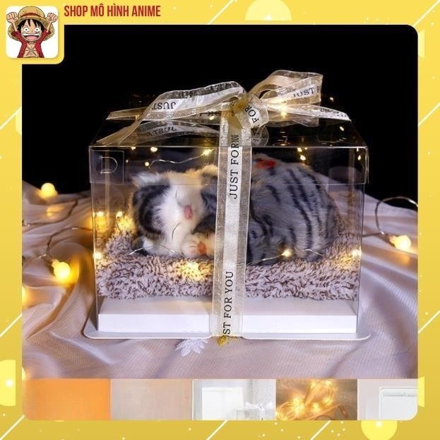 Hộp Quà Sinh Nhật Mèo Con Dễ Thương, Thích Hợp Làm  Decor Trang Trí, Quà Lưu Niệm, Quà Tặng