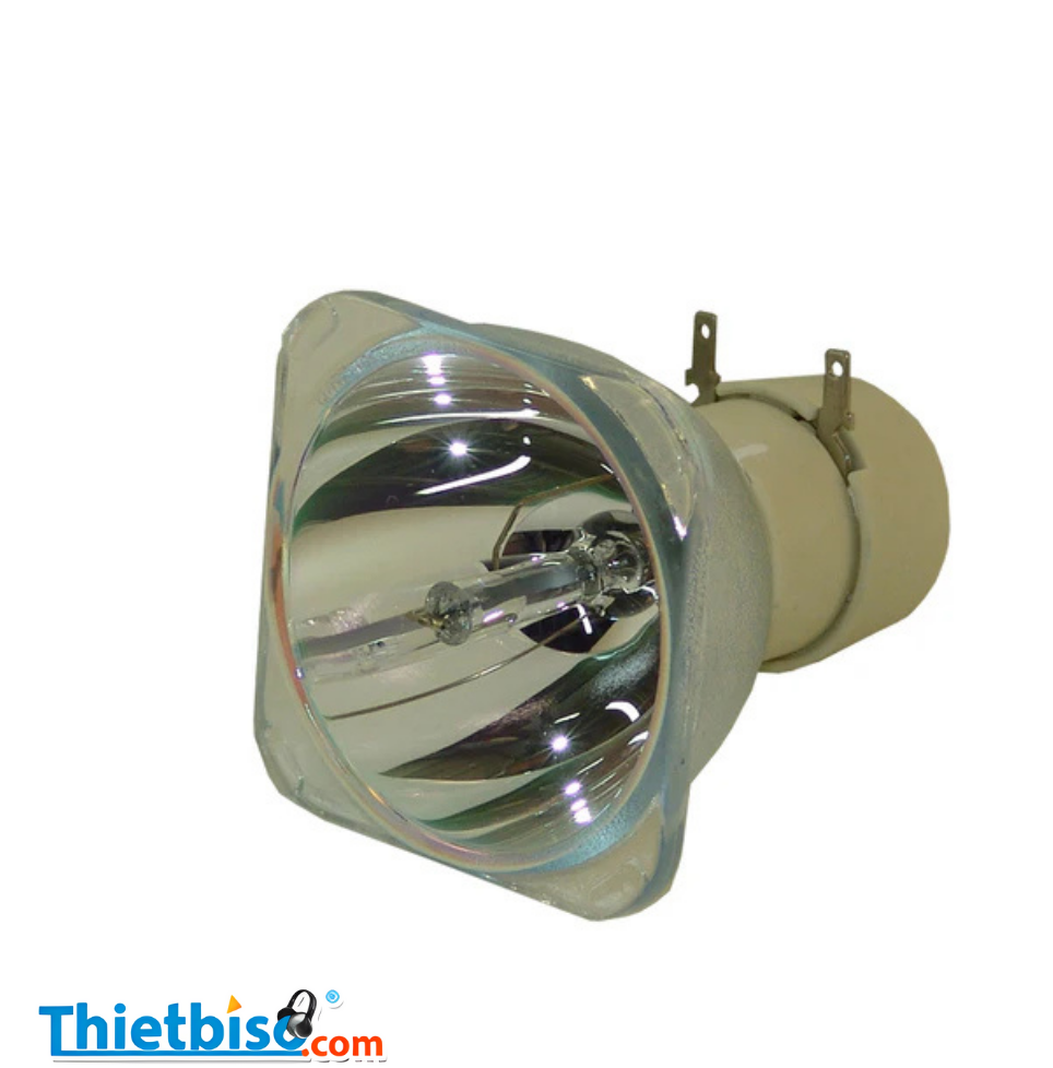 Bóng đèn máy chiếu BENQ 5J.JDM05.001