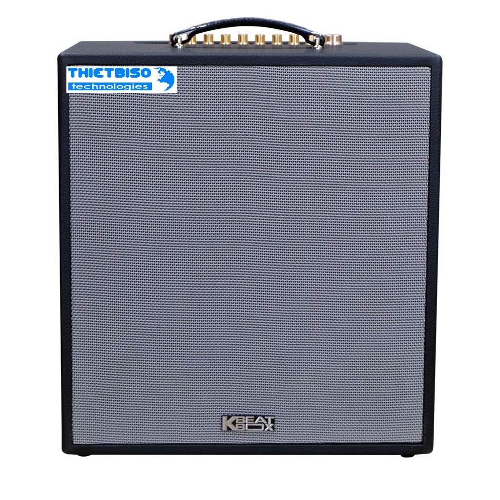 Loa ACNOS CS300