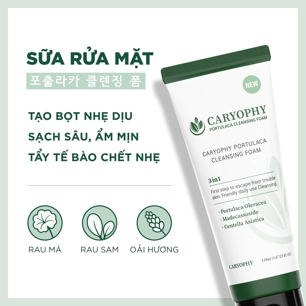 Sữa Rửa Mặt Caryophy Portulaca Cleansing Foam Ngăn Ngừa Mụn Giảm Thâm 150ml