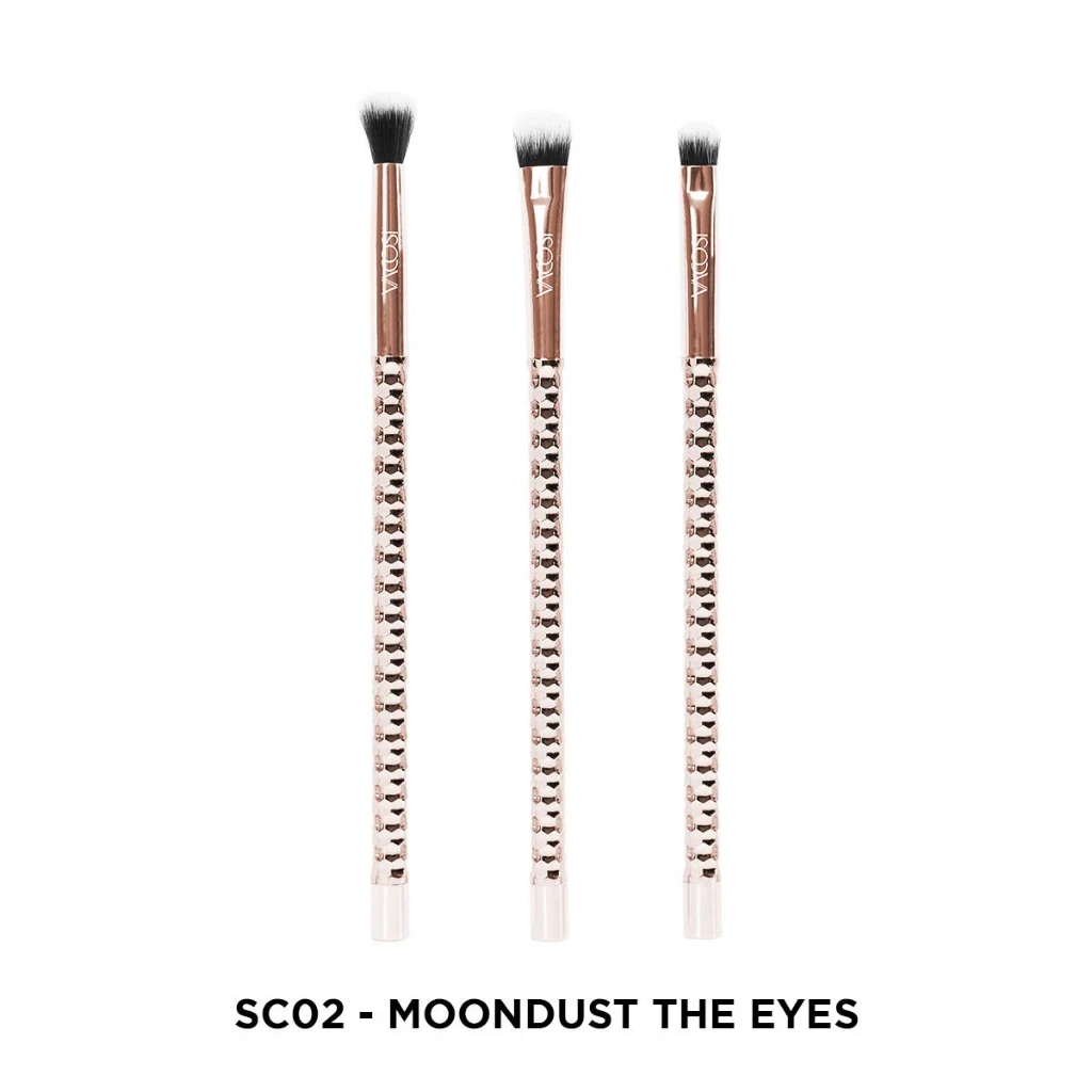 Bộ Kit 3 Cọ Mắt Vacosi SC02, Phiên Bản Golden Dragon