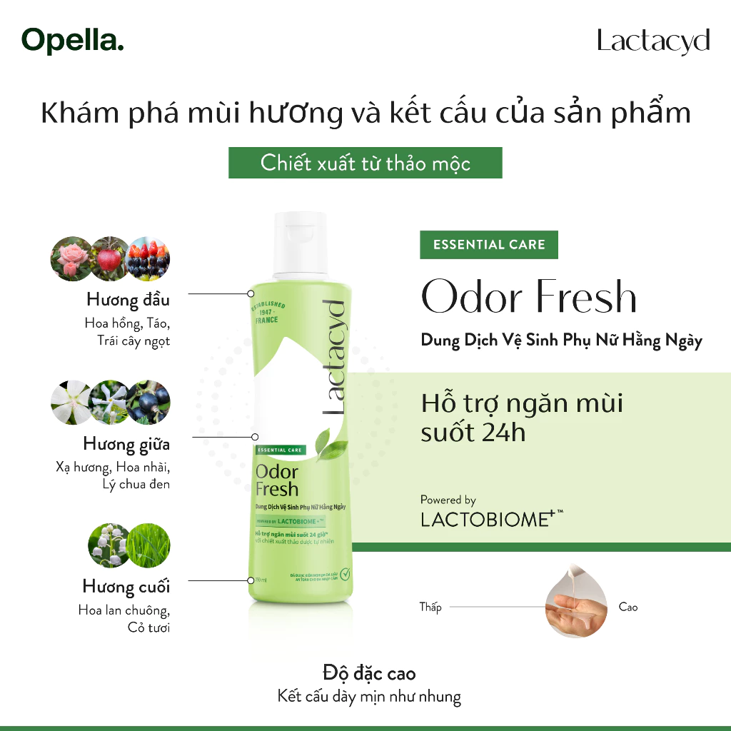 Dung Dịch Vệ Sinh Phụ Nữ Lactacyd