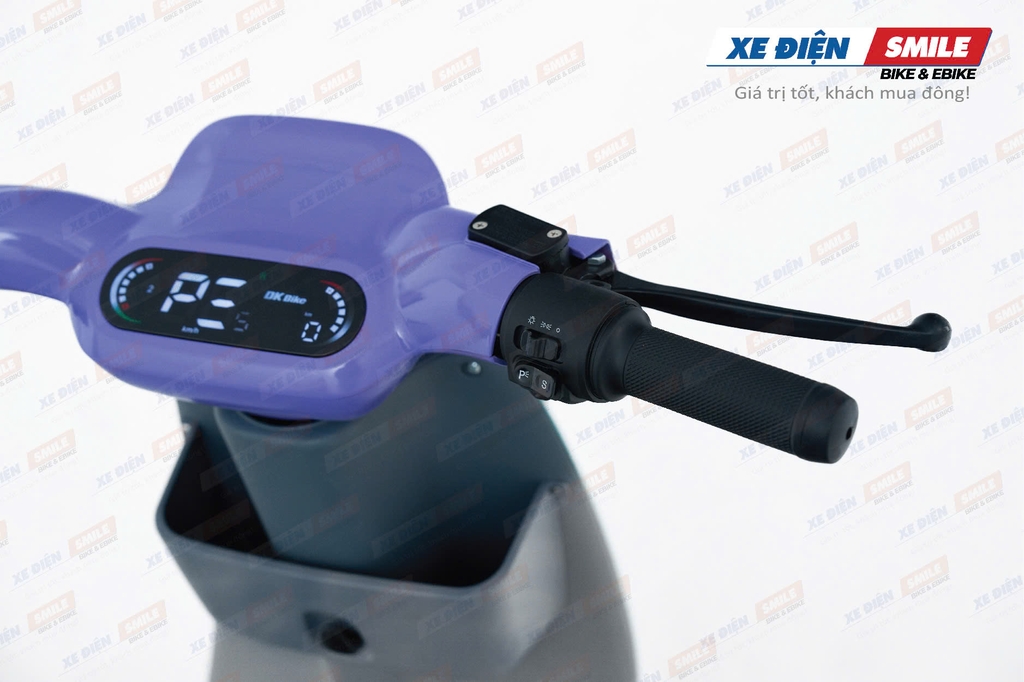 xe điện DK S2 có tay năm chắc chắn