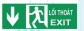 Đèn exit hướng xuống FSM