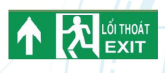 Đèn Exit hướng xuống FSM
