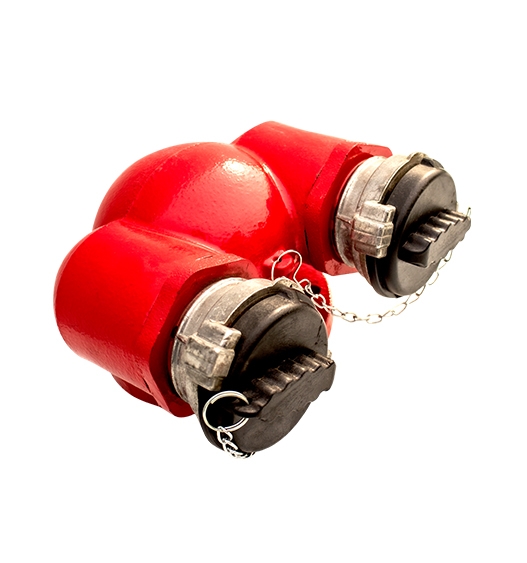 Họng tiếp nước chữa cháy 2 cửa DN65