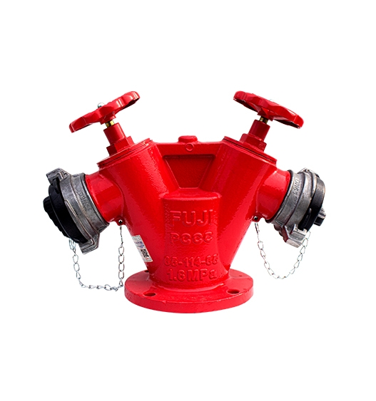 Trụ (cột lấy nước) chữa cháy 2 họng ra D65