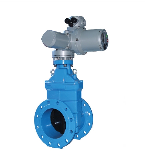 Van cổng động cơ điện EMD