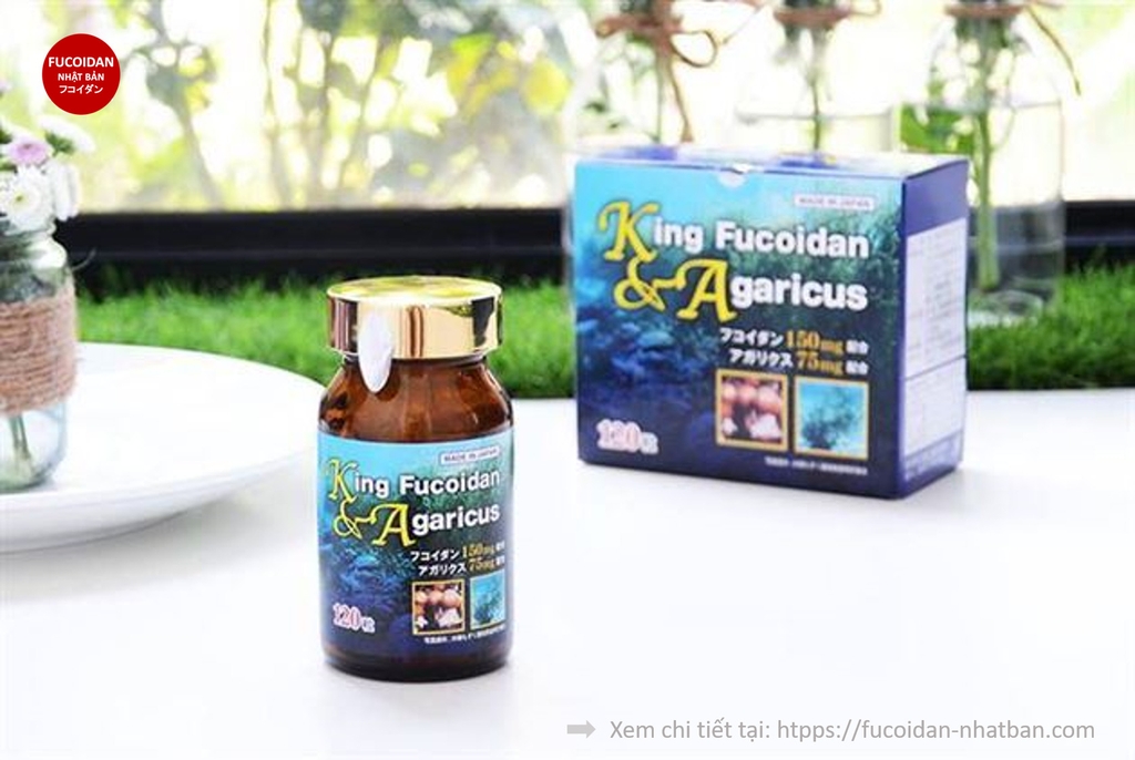 KING FUCOIDAN & AGARICUS - ĐẨY LÙI UNG THƯ ️