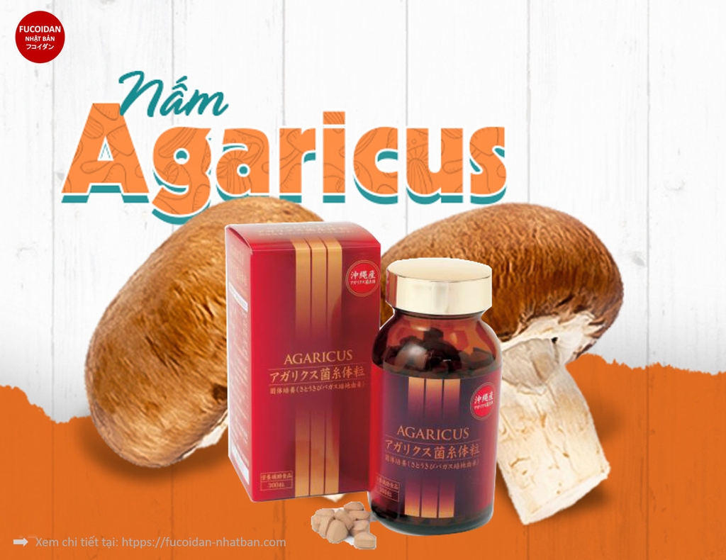 VIÊN THỂ NẤM AGARICUS MYCELIA OKINAWA