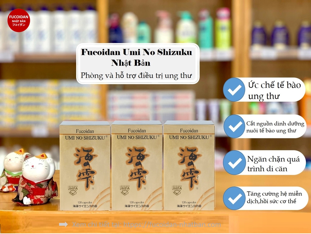 𝐅𝐔𝐂𝐎𝐈𝐃𝐀𝐍 𝐔𝐌𝐈 𝐍𝐎 𝐒𝐇𝐈𝐙𝐔𝐊𝐔 𝟏𝟐𝟎V NHẬT BẢN - PHÒNG CHỐNG VÀ HỖ TRỢ ĐIỀU TRỊ UNG THƯ