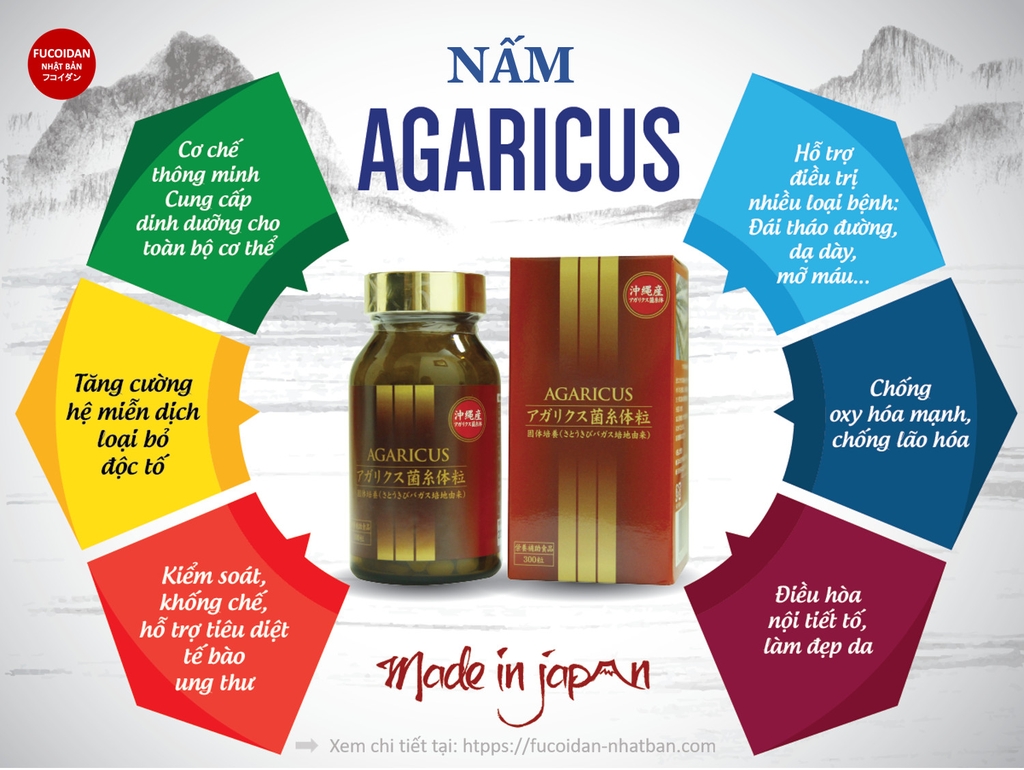 VIÊN THỂ NẤM AGARICUS MYCELIA OKINAWA