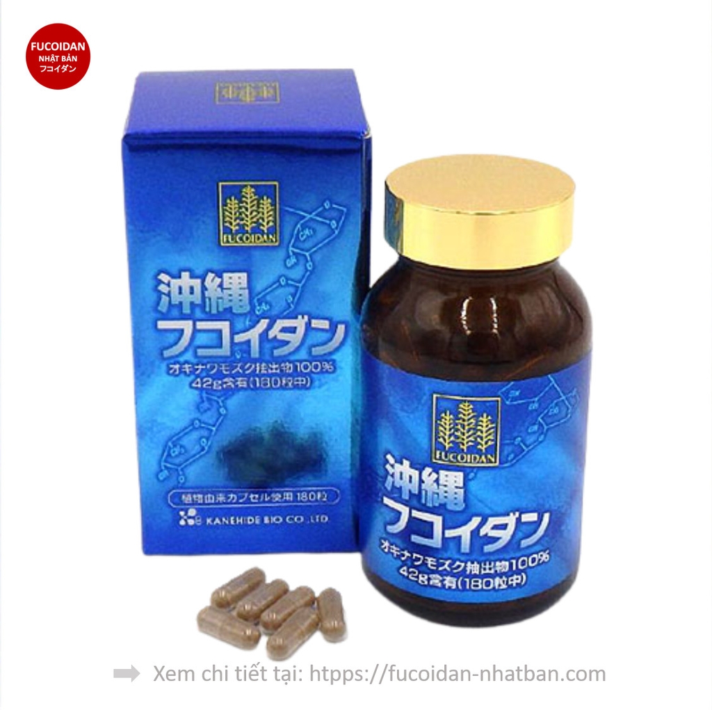𝐅𝐔𝐂𝐎𝐈𝐃𝐀𝐍 Okinawa Kanehide 180 viên (Fucoidan Xanh) - PHÒNG CHỐNG VÀ HỖ TRỢ ĐIỀU TRỊ UNG THƯ