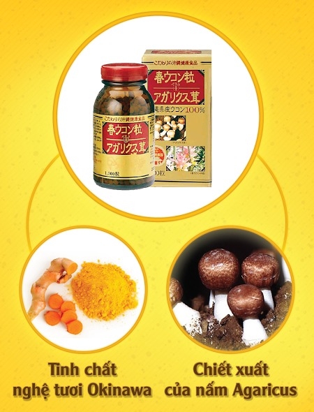 TINH CHẤT NGHỆ MÙA XUÂN VÀ NẤM AGARICUS