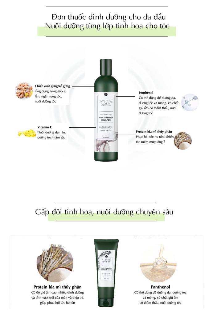 Cặp dầu gội xả gừng trắng kích mọc tóc Weilaiya