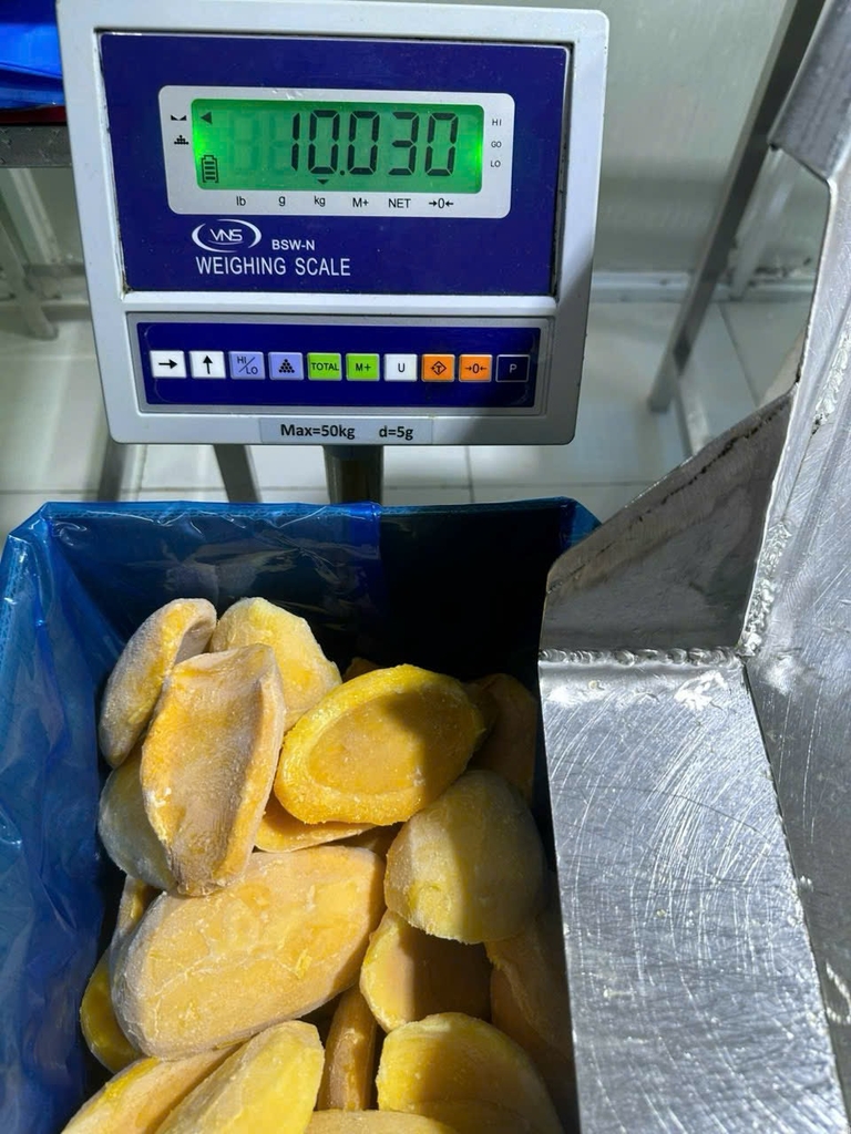 IQF FROZEN MANGO