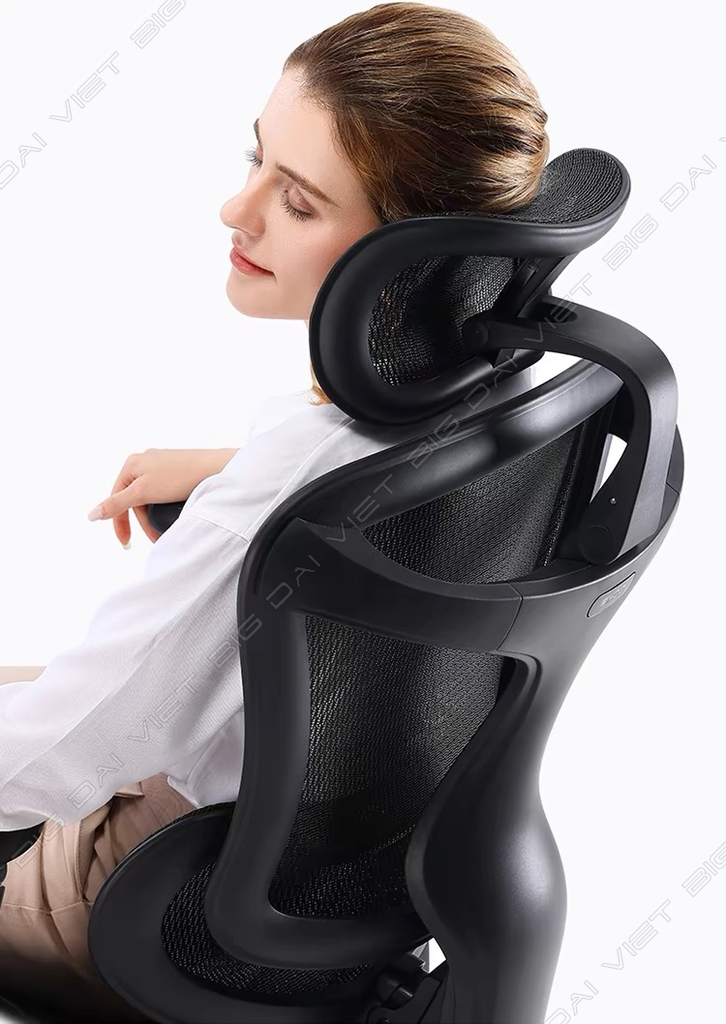 Ghế công thái học ergonomic Sihoo a3 (Sihoo Doro C300)