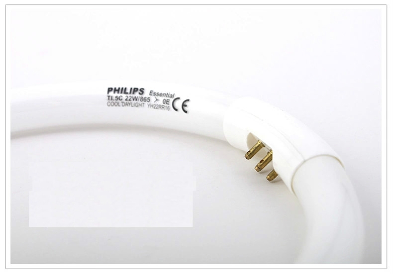 Philips bóng đèn tròn Tl5C bốn chân
