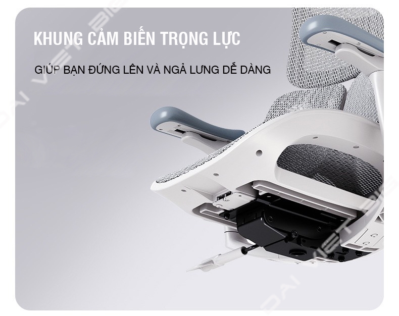 Ghế công thái học ergonomic Sihoo Doro S100 tặng kèm gác chân cao cấp, bảo hành 3 năm