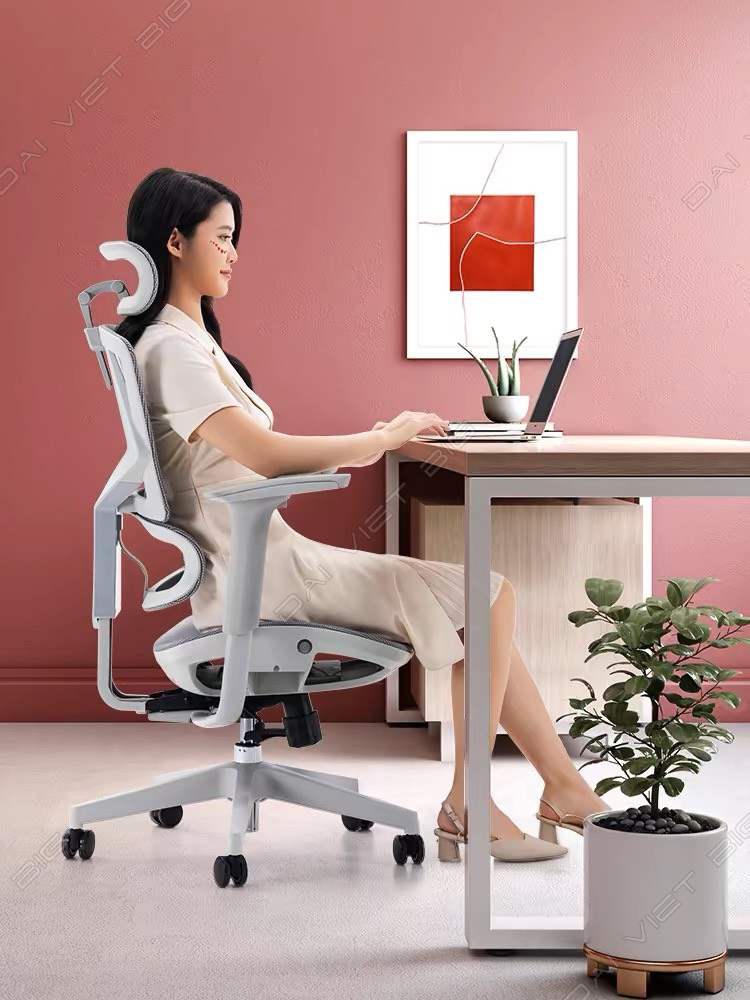 Ghế công thái học ergonomic Sihoo M91C BẢN TAY NÂNG CẤP 3D