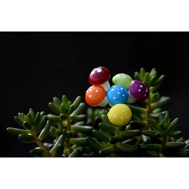 2 cây Nấm nhựa lớn - terrarium